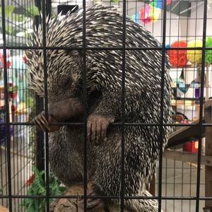 Meet your Posher, Britany